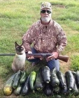 Эд