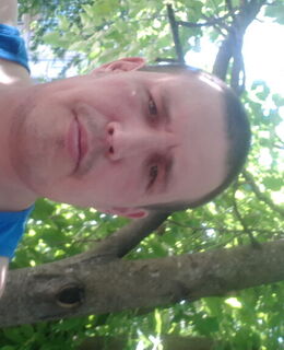 vestervolkov@yandex.ru