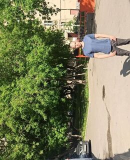 Павлик