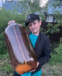 Тимофей Мамонтов