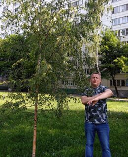 Василий