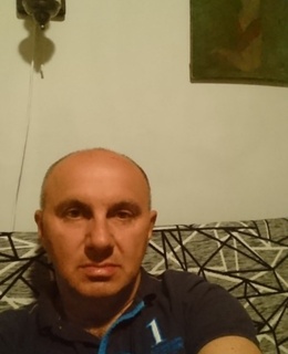 Nedzik