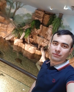 Тимур