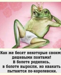 Саша Крик