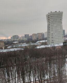 Босит