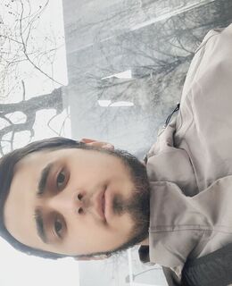 Анис