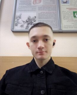 Эльмир